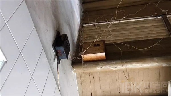 1511502532701418.jpg 14.jpg